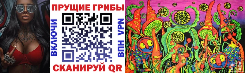 Псилоцибиновые грибы Cubensis  Тарко-Сале 